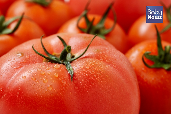 과일인 듯 과일 아닌 과일 같은 너, 채소인 듯 채소 아닌 채소 같은 너. 오늘의 주인공, 바로 토마토입니다. ⓒ베이비뉴스