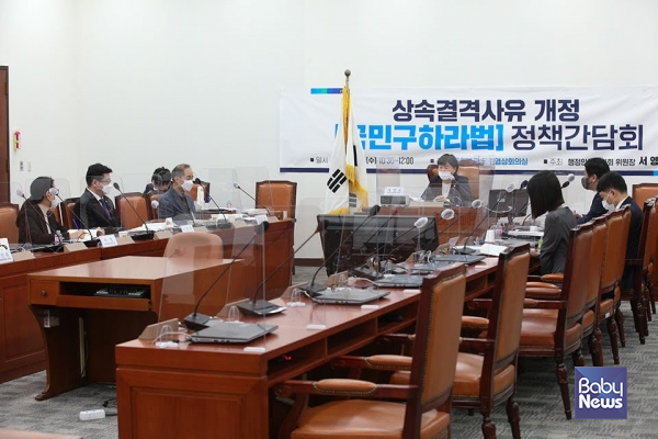 서영교 국회 행정안전위원회 위원장은 '국민 구하라법' 정책간담회를 17일 오전 10시 30분 서울 여의도 국회 본관 국회영상회의실에서 개최했다. 최대성 기자 ⓒ베이비뉴스