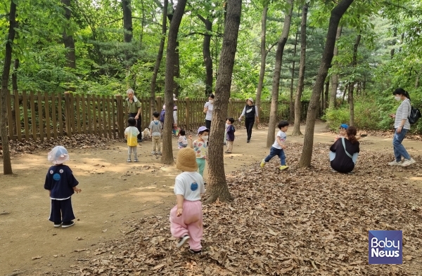 영아들은 실외놀이에서 만난 주변 환경과 자연물들을 통해 다양한 경험을 할 수 있다. ⓒ이임순