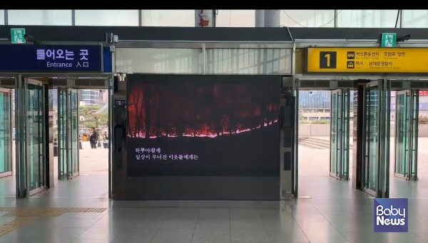 광사모, 산불 모금 영상 1.1억 원 상당 무료 송출 - 뉴스 썸네일 이미지