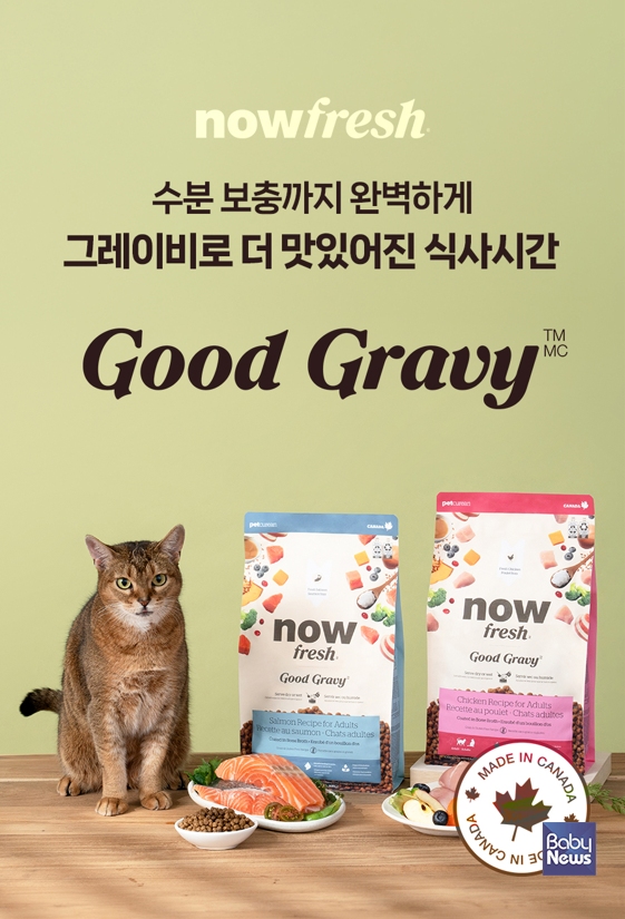 굿그레이비캣. ⓒ나우프레쉬