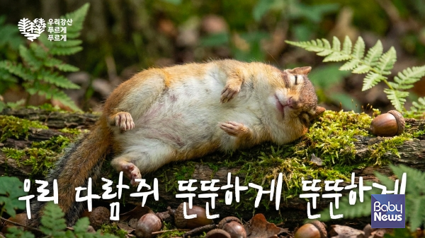 우리강산 푸르게 푸르게 콘텐츠 캠페인 다람쥐편. ⓒ유한킴벌리