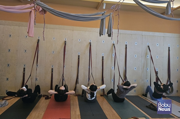 테라피 월요가(Wall Yoga Therapy)는 벽을 보조 도구로 활용해 몸의 정렬과 안정성을 회복하는 테라피 기반 요가 방식이다. 단순한 스트레칭이나 운동이 아니라, 벽이라는 고정된 지지면을 통해 신체의 균형을 ‘인지하고 교정’하는 데 목적이 있다. ⓒ이은화
