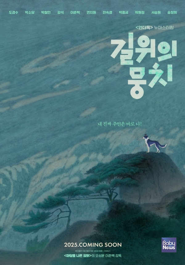 댕심저격 야외상영회… 서울국제환경영화제, 반려동물과 공존의 축제 펼친다.