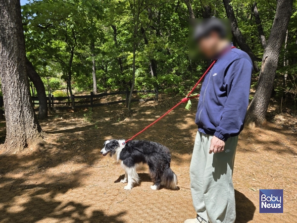 ‘찾아가는 펫마스터’ 참여자가 반려견과 야외 활동을 하고 있다.