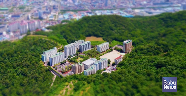 [장애인뉴스] 부영그룹 창신대학교-경남도장애인부모회, 업무협약 체결... - 뉴스 썸네일 이미지