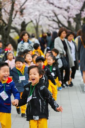 [세줄포토] 벚꽃길에 가득한 아이들의 웃음소리