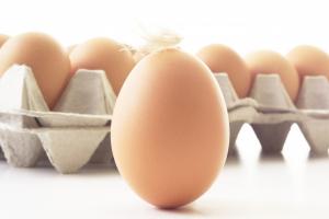 계란 꼭 챙겨 먹어야 하는 5가지 이유는 무엇?