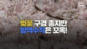 [세줄영상] 벚꽃은 못 참지