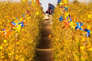 아이와 함께하는 들꽃마루 산책