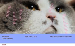 [펫뉴스] 캐논코리아, 반려동물과의 일상 담은 사진전 'Still Chubby - 이대로 오래' 개최 外