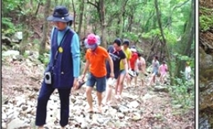 서울시, '산림치유 프로그램' 참가자 모집