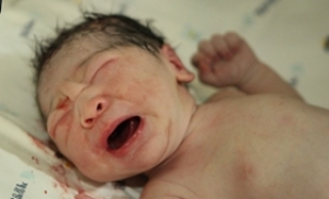 '의기양양!' 을미년 새 해 첫 아기 탄생