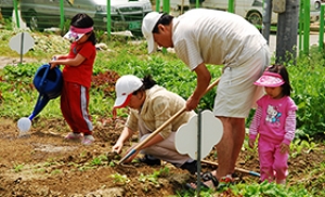 서울시 어르신·다둥이·다문화가족농장 텃밭 가꾸기 시작